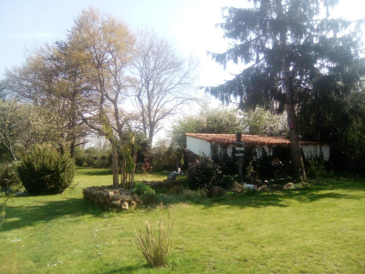 مبيت وإفطار Le Champ-Saint-Pere Mas Des Vignes Piscine Chauffee المظهر الخارجي الصورة